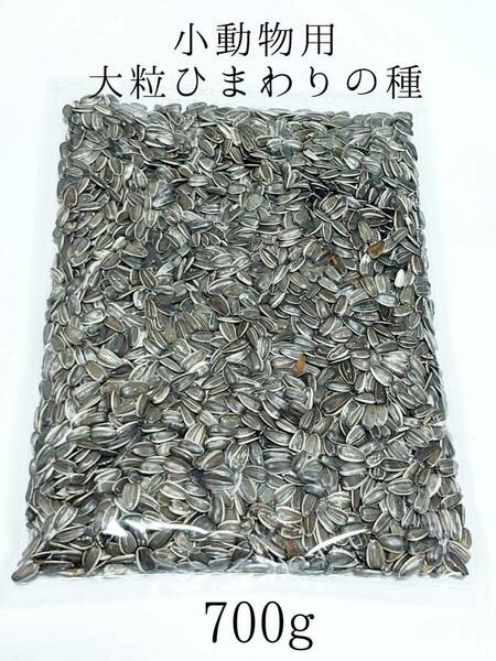 ペット用 ひまわりの種 大粒 700g ハムスター ウサギ オウム 小動物