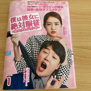 韓国ドラマ　僕は彼女に絶対服従　DVD 10枚　全話　レンタル落ち