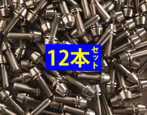 64チタンボルトM5×16ｍｍ シルバー12本ステム用【1.9g/本】_画像1