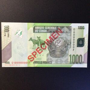 World Paper Money CONGO DEMOCRATIC REPUBLIC 1000 Francs【2013】〔SPECIMEN〕の画像1