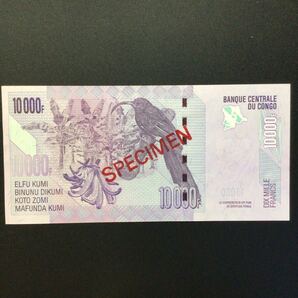 World Paper Money CONGO DEMOCRATIC REPUBLIC 10000 Francs【2013】〔SPECIMEN〕の画像2