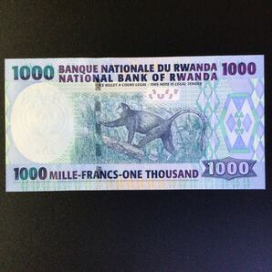 World Paper Money RWANDA 1000 Francs【2008】の画像2