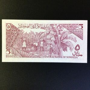 World Paper Money SOMALIA 5 Shilin = 5 Shillings【1983】の画像2
