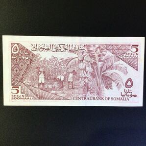 World Paper Money SOMALIA 5 Shilin = 5 Shillings【1987】の画像2
