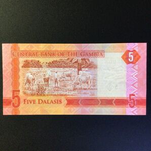 World Paper Money GAMBIA 5 Dalasis【2015】の画像2