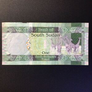 World Paper Money SOUTH SUDAN 1 Pound【2011】の画像2