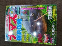 コスミック　出版　でかナマズ　ナマズ 釣り 釣り本　ナマズゲーム　5冊　セット　本　ナマズ釣り本　中古本　_画像6