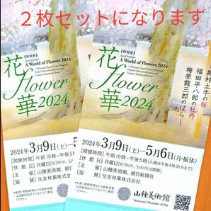 山種美術館　ペアチケット 花 flower 華 2024