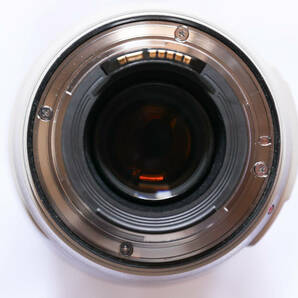 EF70-300mm F4-5.6L IS USM EF70-300LISの画像8