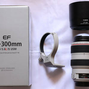 EF70-300mm F4-5.6L IS USM EF70-300LISの画像1