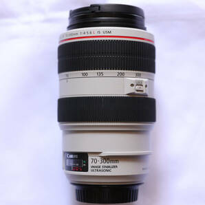 EF70-300mm F4-5.6L IS USM EF70-300LISの画像4