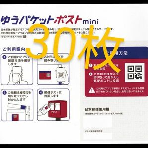 ゆうパケットポストmini 専用封筒 ゆうパケットポスト 封筒 ミニ