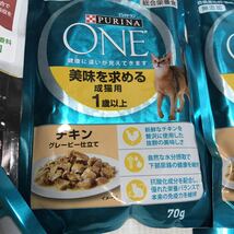 送料無料 ピュリナワン プロプラン ウェットフード パウチ お試し チキン サーモン 美味を求める成猫用10袋詰め合わせセット グレービー_画像4