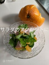 ご家庭用夏みかん10kg箱/Lサイズ_画像4