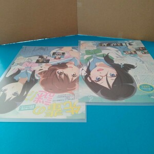 .. euphonium * free shipping middle * transparent clear file . inserting storage middle v anime illustration cut .( approximately A4).10