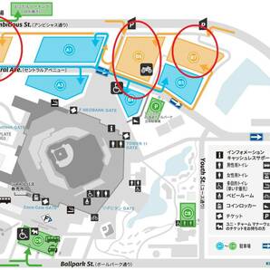 4/27(土) 北海道 日本ハム ファイターズ エスコンフィールド DUNLOP PARKING A2/B6/B7 共用 普通車・駐車券 (未登録)の画像2