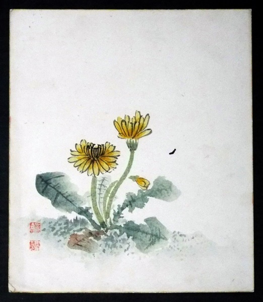 6535☆☆Papel pequeño de color desconocido, escritura, pintura de flores, diente de león, sello, desconocido, Era Taisho Showa ☆, cuadro, pintura japonesa, flores y pájaros, pájaros y bestias