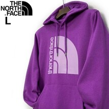 1円～!売切!【正規新品】THE NORTH FACE◆JUMBO HALF DOME HOODIE パーカー US限定 グラフィック ビッグハーフドーム(L)紫 181130-33_画像2