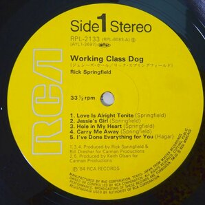 11185276;【ほぼ美盤/帯残】Rick Springfield / Working Class Dogの画像3