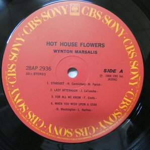 46071686;【帯付/美盤】Wynton Marsalis ウィントン・マルサリス / Hot House Flower スターダストの画像3