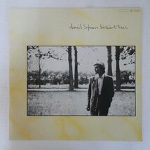 46072108;【国内盤/美盤】David Sylvian デヴィッド・シルビアン / Brilliant Trees_画像1