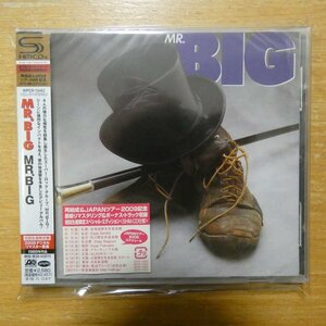 MR.BIG