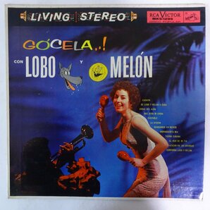 10024906;【Mexico盤/深溝/LATIN】Lobo Y Melon / Gocela!の画像1
