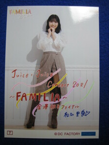 11/24 コレクション写真 金澤朋子 ファイナル FAMILIA #7 松永里愛 Juice=Juice 2021 横浜アリーナ