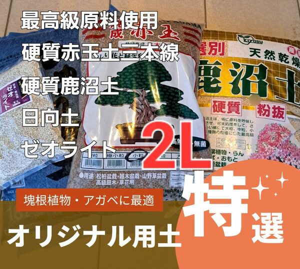 硬質赤玉土 赤玉土三本線 塊根植物用土 アガベ用土 塊根　コーデックス パキポディウム アガベ 観葉植物 日向土 鹿沼土