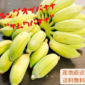入手困難！！キングオブバナナ！バナナの王様！沖縄産ナムワバナナ農薬不使用コンパクトでお届け！！の画像1
