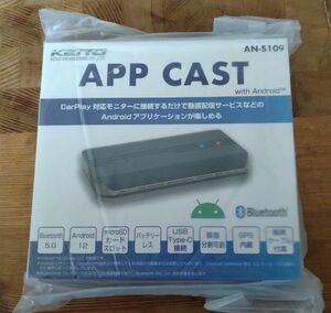 APP CAST with Android CarPlay AN-S109 新品未開封