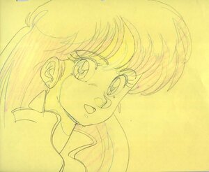 A cell picture original picture Dirty Pair that 10