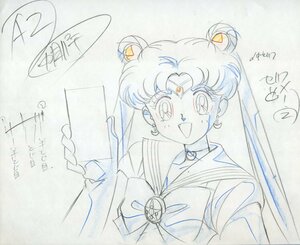 Картина ячейки оригинальная картинка Sailor Moon, часть 13