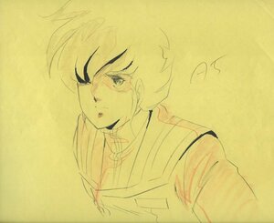 A cell picture original picture Super Dimension Fortress Macross that 12