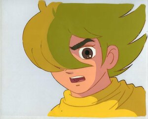 A cell picture cyborg 009 that 2