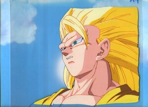 Aセル画　ドラゴンボール（DRAGON BALL）　其の912