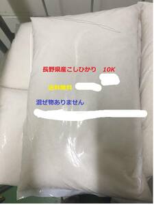 新米　長野県産令和５年産　新米コシヒカリ100％10kg　業務用　送料無料