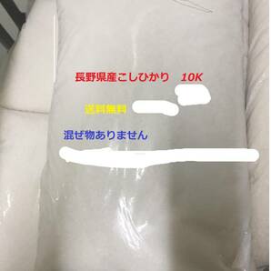 長野県産令和５年産 新米コシヒカリ100％10kg 業務用 送料無料の画像1
