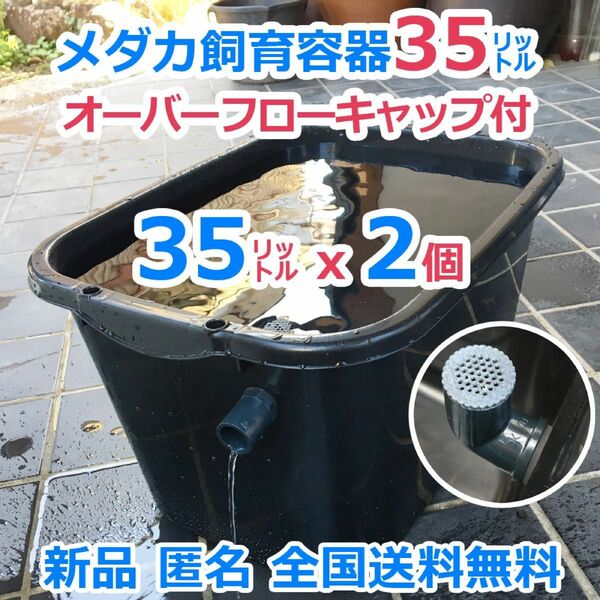 メダカ飼育容器【35㍑ 黒2個 オーバーフローキャップ付】メダカ飼育ケース 針子 金魚 産卵 タライ ビオトープ 【五色アクア】