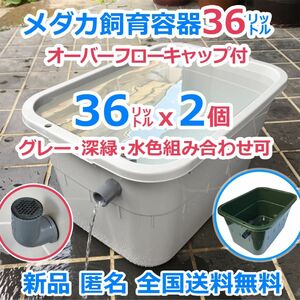 メダカ飼育容器【36㍑グレー深緑水色選択可 2個 オーバーフローキャップ付】メダカ飼育ケース 金魚 タライ ビオトープ【五色アクア