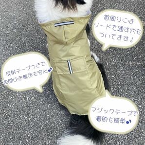 4XLサイズ 犬用 レインコート 大型犬 カッパ 大きめ ビッグ 雨 梅雨 ペット ライトグリーン