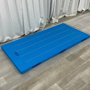 X573 physical training color mat 180×90×6cm gymnastics motion / Kanagawa prefecture .. city 