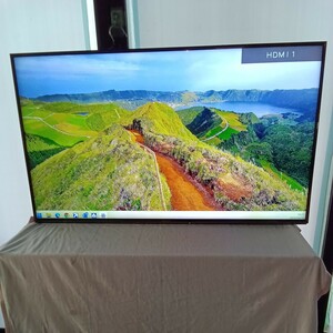 55インチ液晶テレビ　Panasonic　VIERA TH-55EX600【スタンド・リモコン無し】no.1