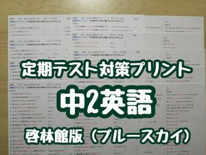 英語教材定期テスト対策プリント (中学2年生)　(ブルースカイR5&6年度版)