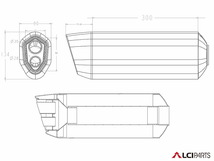 BMW F800R 2009-2018 LCIPARTS LCI ツインエンド チタン スリップオン マフラー_画像3