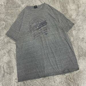 VINTAGE ヴィンテージ PRAIRIE MOUNTAIN Tシャツ 半袖カットソー サイズXXL グレー 灰色 メンズ トップス 最落なし （A19）