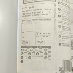 週刊ヤングジャンプ　2024年20号 プレゼント&愛読者アンケート応募用紙　柏木由紀QUOカード