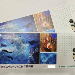 激安1円～【大黒屋】⑤ 最新 新江ノ島水族館 ご招待券 2枚セット 未使用 有効期限2024年6月30日までの画像1