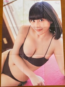 * prompt decision * origin HKT48 rice field Nakami . extra-large both sides poster ⑲