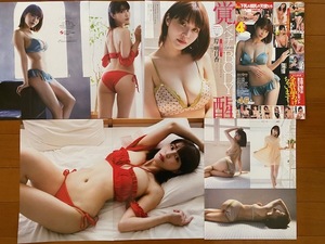 ◆即決◆　岸明日香　切り抜き１４Ｐ